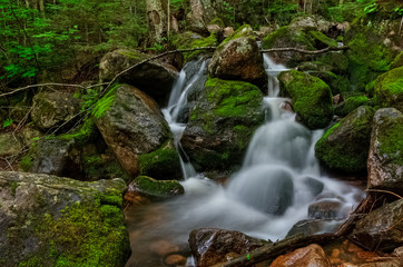 Naklejka na ściany i meble Small stream flows through the rocks, Hautes Gorges national park, Quebec, Canada