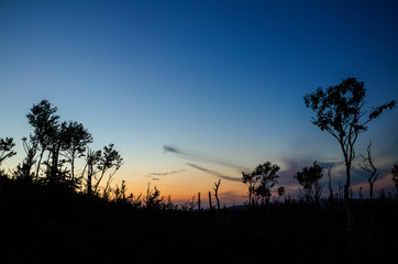 Fototapeta na wymiar Silhouettes at dusk, Gaspesie national park, Quebec, Canada