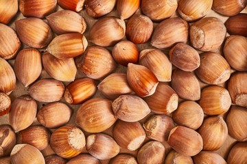 Hazelnut in a pile