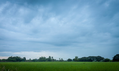 farmland countryside Thailand view / Before rain clouds