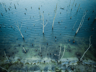 Aerial of Manasquan Reservoir 