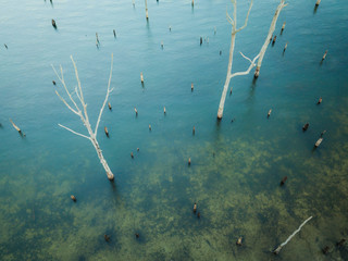 Aerial of Manasquan Reservoir 