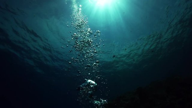 Bubbles rise in open ocean, low angle