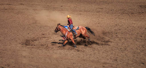 Cowgirl riding her horse around a barrel in a barrel racing competition. The horse is kicking up a...