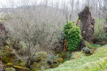 The Cabarceno Natural Park is a nature conservation area located in the Pisueña valley