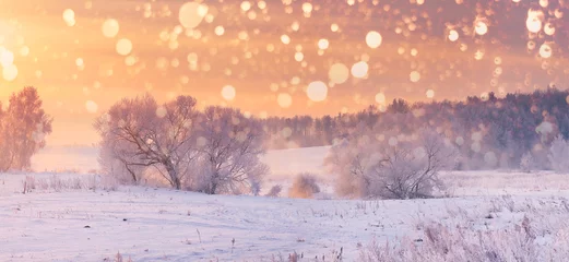 Fond de Noël