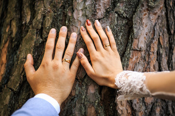 Hands with rings of newlyweds close-up opposite bark tree. Wedding day.