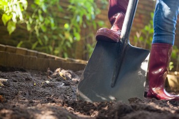 Surface level view of senior woman standing with shovel on dirt
