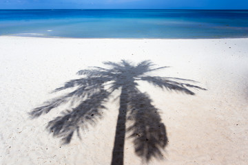 Palm tree shadow on the Beach