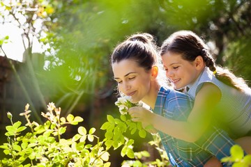 Mother smelling white roses while giving piggyback ride
