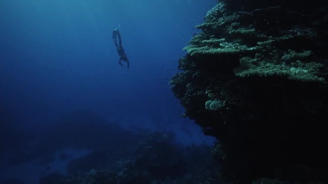 freediver dives deep in tropical water, underwater 