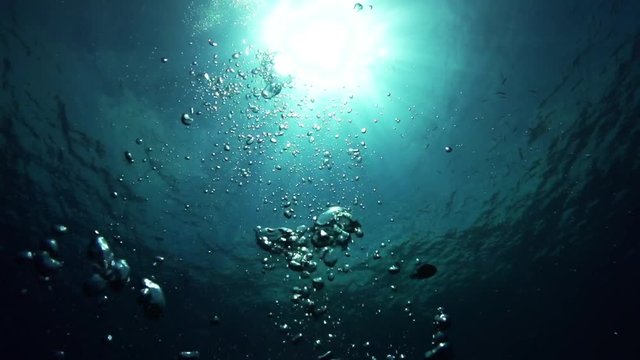 Slow motion, Bubbles rise in tropical ocean