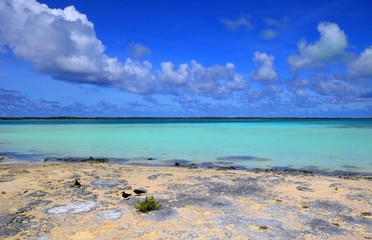 plage et lagon polynésie française tuamotu tikehau