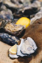 fresh oysters in shell and piece of lemon ready to serve on the cloth sack bag background. selective focus and film style.