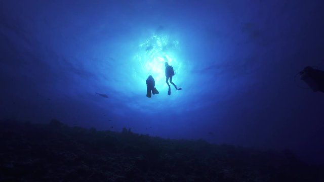 scuba divers in beautiful, scenic backlight, sun of French Polynesia