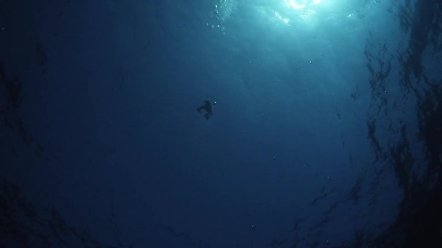 Scuba diver surfaces in deep water, low angle