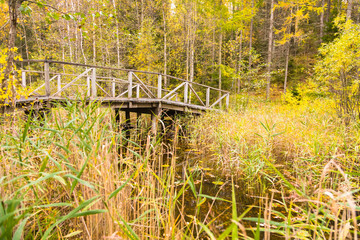 Autumn in Finland,  trail of planks through the swamp, nature photography. Travel.