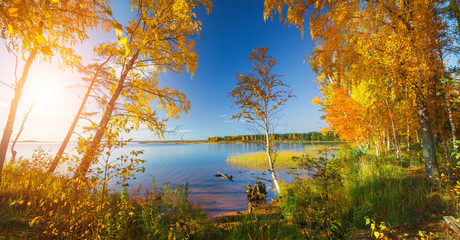 Fototapeta na wymiar Autumn forest and lake