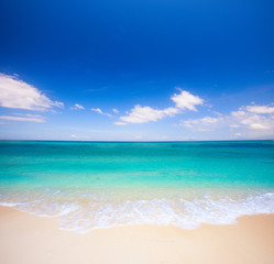 beach and tropical sea