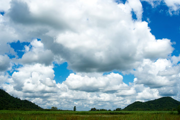 Sugar cane and mountain farm