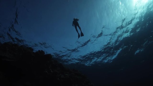 Scuba diver surfaces over coral reef, POV