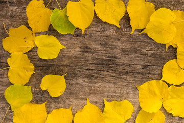 Fototapeta na wymiar Frame of yellow leaves on rustic wooden background