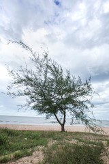 Obraz premium The sea in Hua Hin.Fome in Thailand