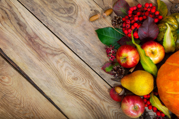 Thanksgiving background with pumpkin, apples, pear, copy space