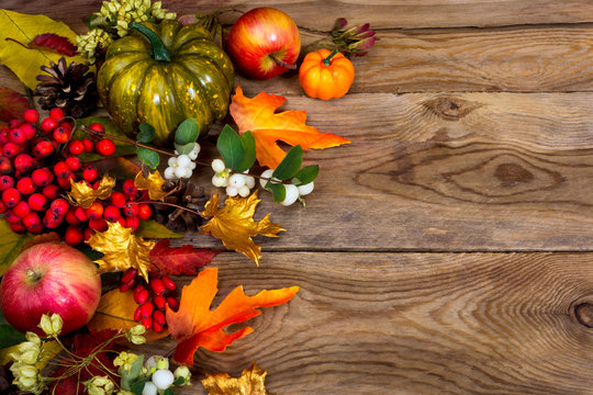 Thanksgiving background with green squash and autumn leaves, copy space