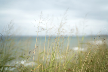 landscape behind the spikes
