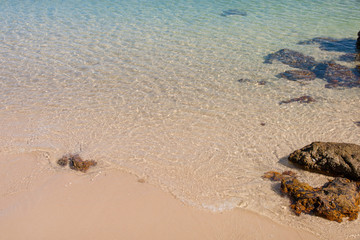 beautiful scene, tropical sea and beach