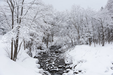 snow covered in winter,Japan