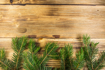 Christmas decoration with fir branches on wood background