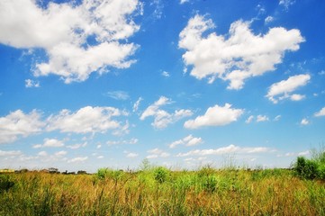 Blue sky with white cloud background