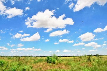 Blue sky with white cloud background