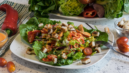 fresh vegetable salad with crunchy croutons and French dressing