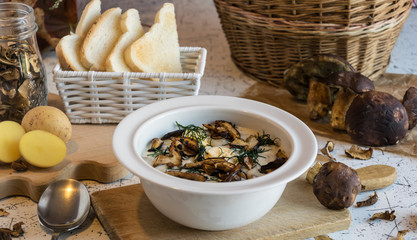creamy soup of forest mushrooms, dill, eggs and cream - Kulajda