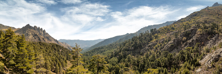 Fototapeta na wymiar Rocks, pine trees and mountains in central Corsica