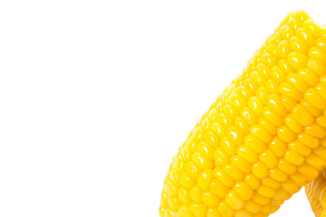 corn on white background