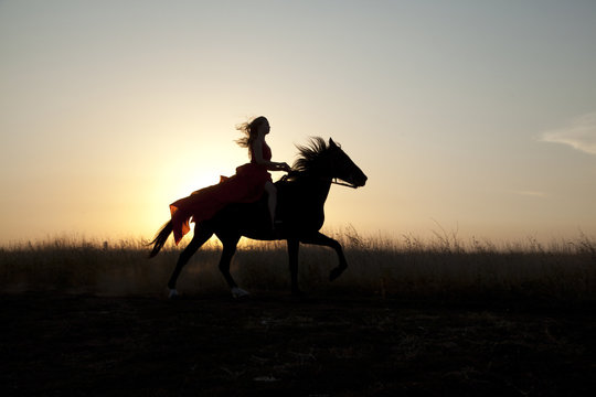 Young woman riding a horse. Stallion run gallop