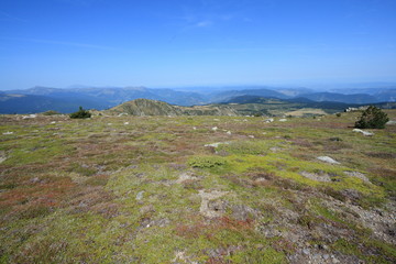 summer landscape in Pyrenees. Aude in Occitanie. South of France