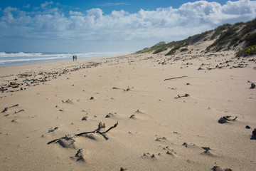 Two figures walking on a deserted beach