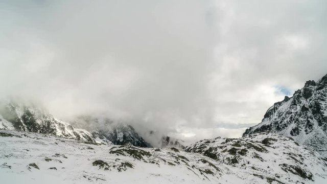 Clouds roll in snowy mountains valley with chamois looking for food in winter time lapse