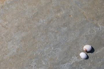 Décors texture pierre et coquillage Orkney background
