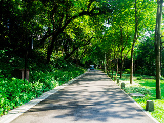 Obraz premium Yuexiu Park, Guangzhou city, China