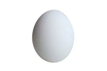 One white egg
