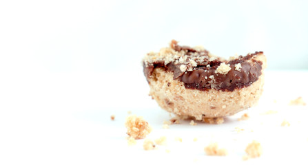 Pieces of a Chocolate Cookie