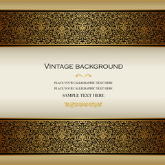 Vector Vintage Card Design, Layout of Cover with Ornamental Lace Border