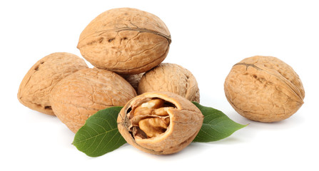 Green walnuts with leaves isolated on a white background