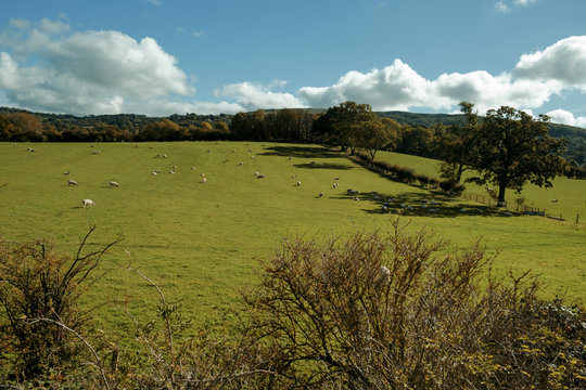English landscape